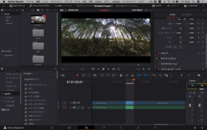 DaVinciResolve_カット