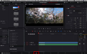 DaVinciResolve_エディットページ